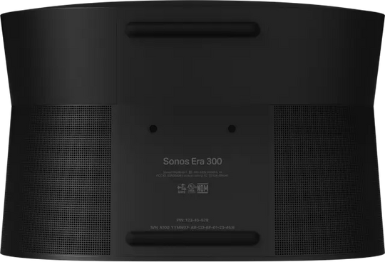 Sonos Era 300