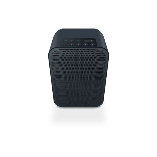 Bluesound Pulse Flex 2i