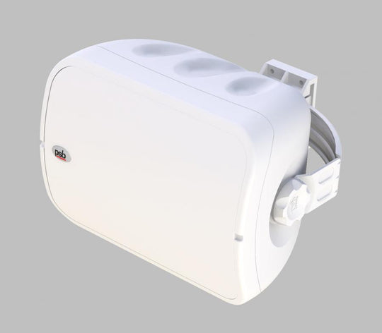 PSB CS1000 Outdoor Speakers (Pair)