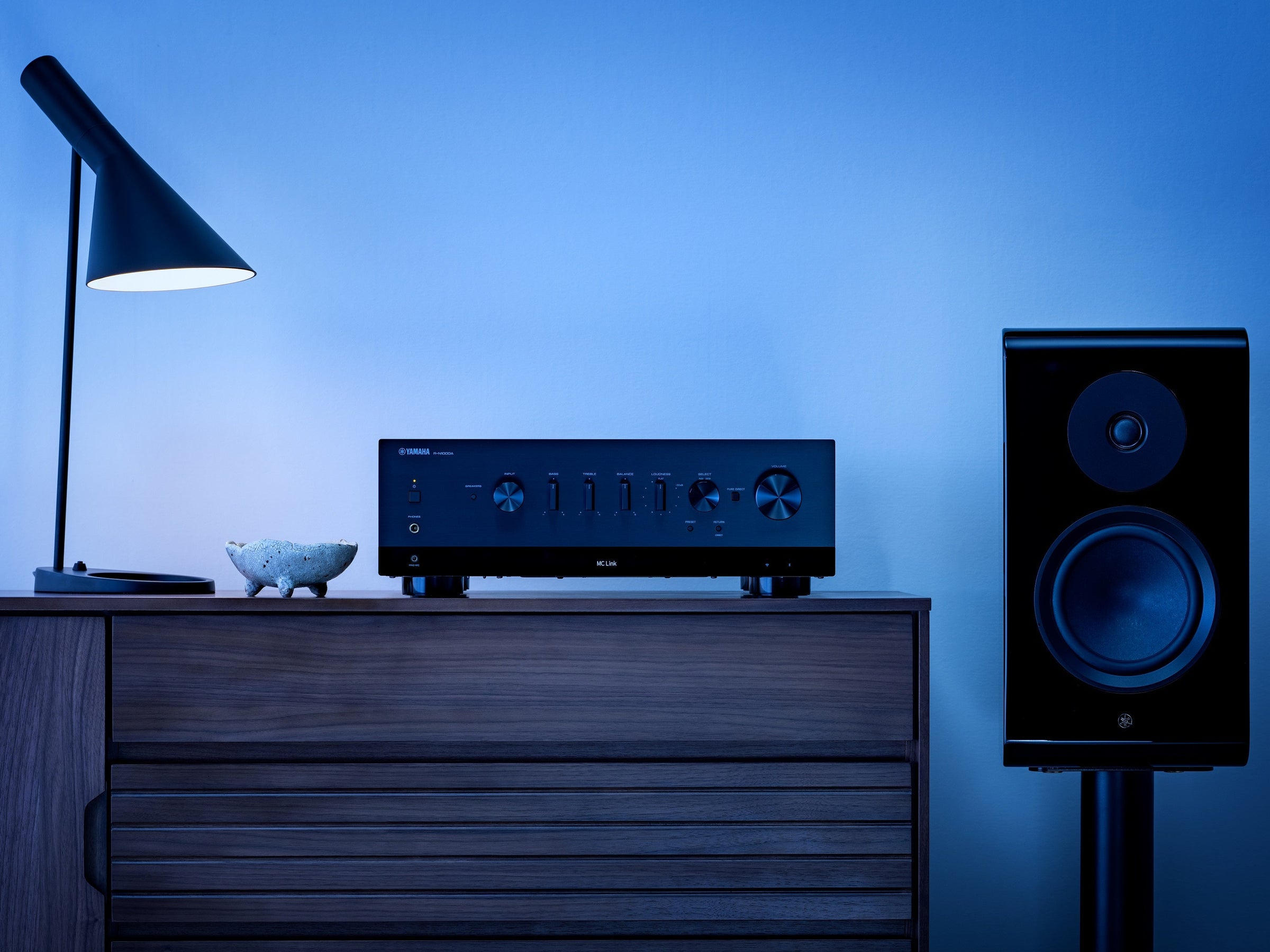 Integrated Amplifiers