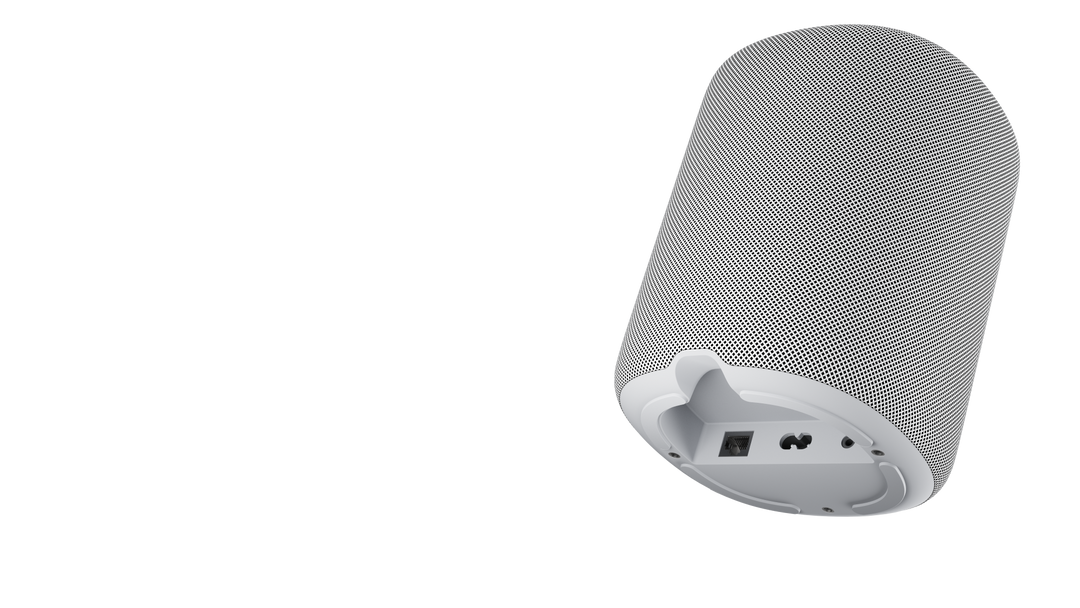 WiiM Sound Smart Speaker