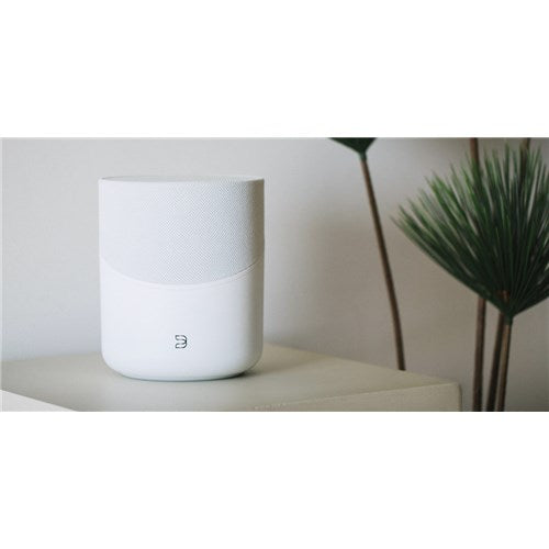 Bluesound Pulse M