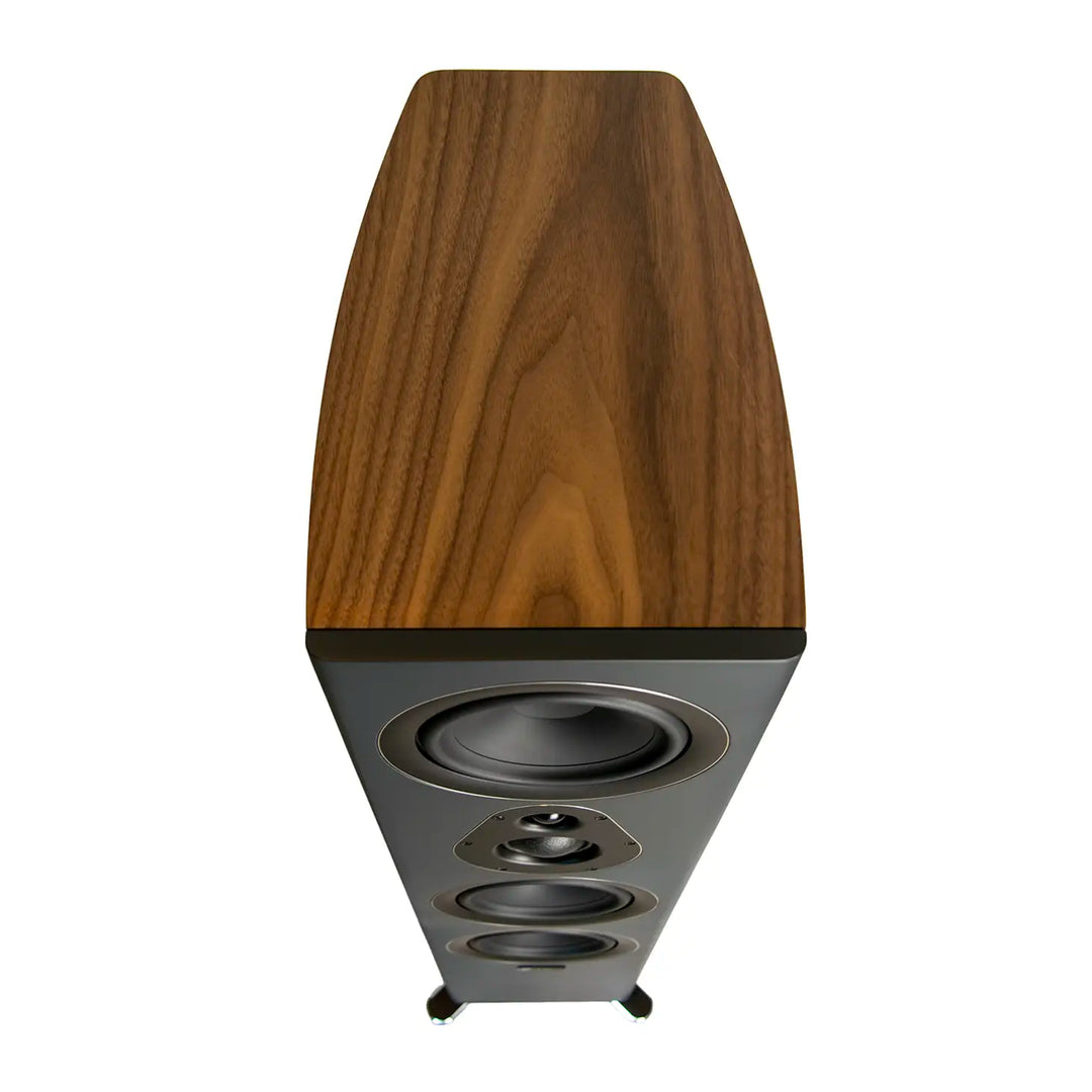 Richter Dragon S7 Special Edition Floorstanding Speakers