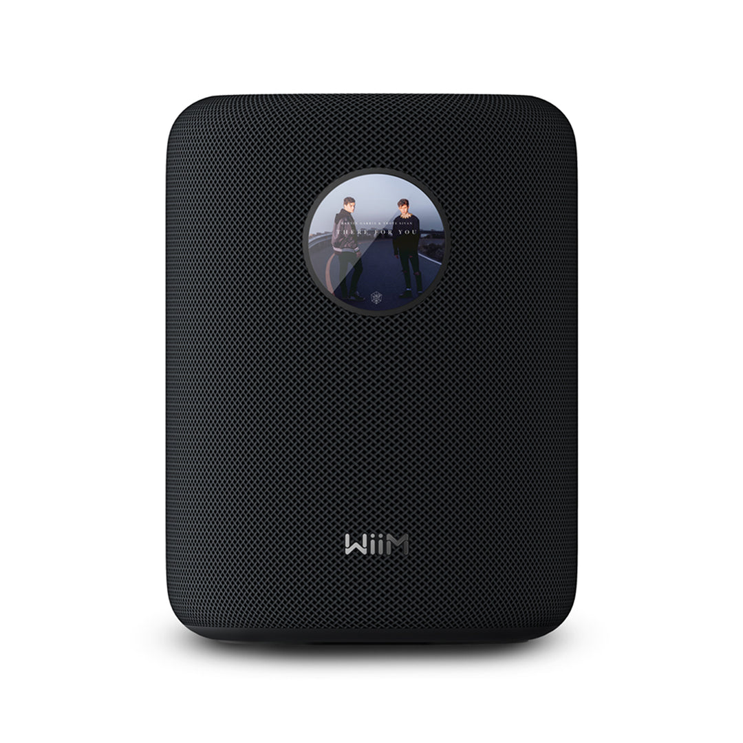 WiiM Sound Smart Speaker