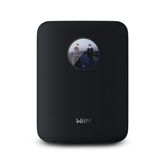 WiiM Sound Smart Speaker