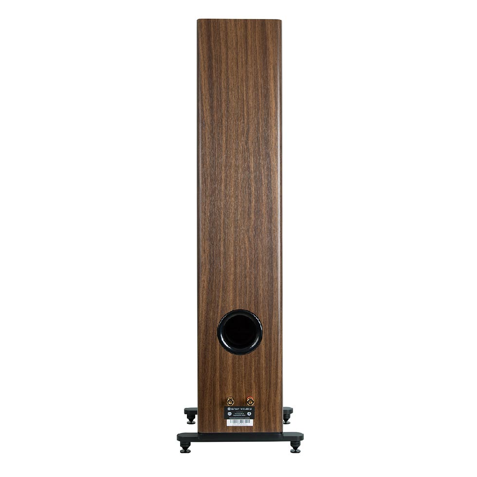 Richter Wizard S6Plus - Quasi 3 Way Floorstanding Speakers (Pair)