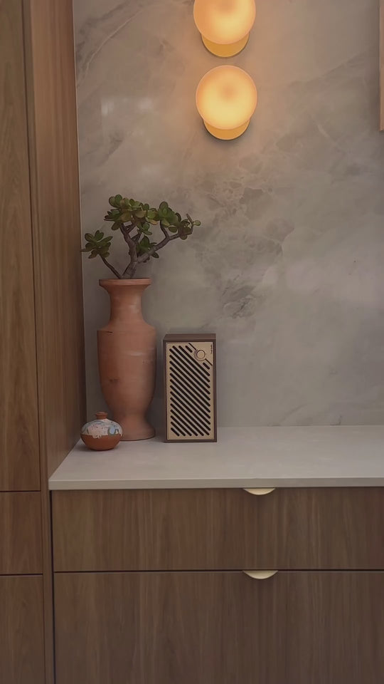 Tivoli Audio Model Two Digital Wifi and Bluetooth Speaker
