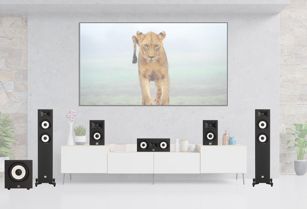 JBL + Yamaha 'Performer' 5.1ch Package
