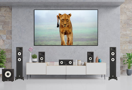 JBL + Yamaha 'Performer' 5.1ch Package